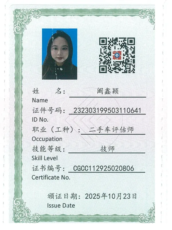 Sally 行业技能书