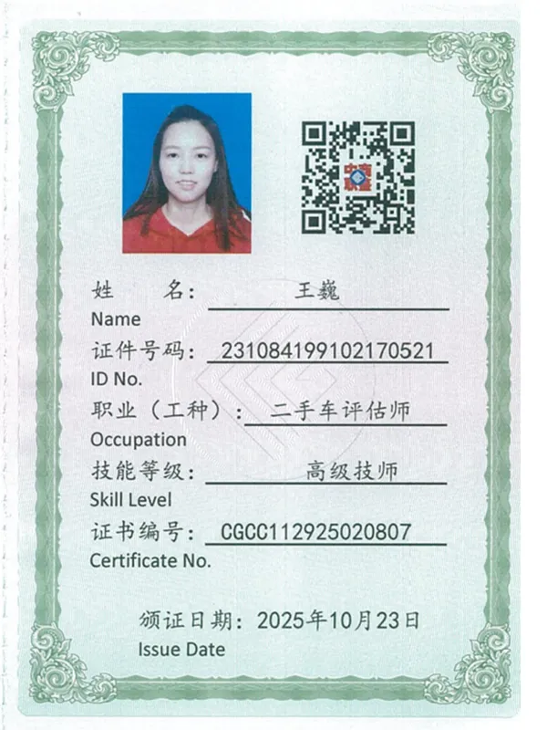 Zoe 行业技能书